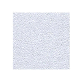 CARTULINA CASCARON 1/2 60 X 56 CM