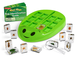 REAL BUGS DISCOVERY KIT