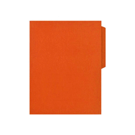 FOLDER CARTA NARANJA