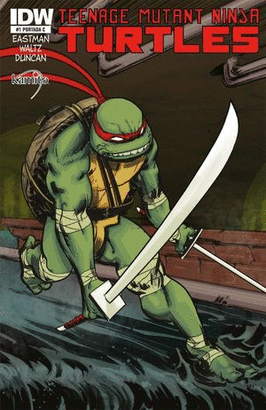 TEENAGE MUTANT NINJA TURTLES #1C