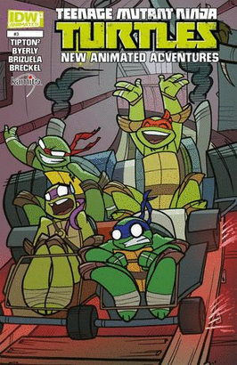TEENAGE MUTANT NINJA TURTLES NEW ANIMATED ADVENTURES #3B