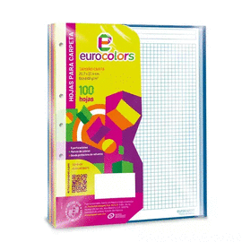 REPUESTO PARA CARPETA PROF ONDAS C5 100H TAMAÑO CARTA CUADRO CHICO. EUROCOLORS