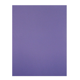 PLIEGO DE FOAMY LISO MORADO 95X70 CM.