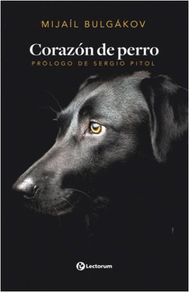 CORAZÓN DE PERRO