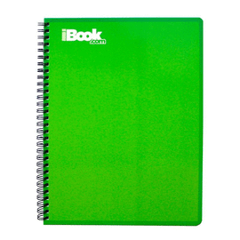 CUADERNO RAYA PROFESIONAL DOBLE ARILLO C/100 HJS