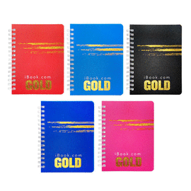 CUADERNO APUNTES DO RAYA 80 HJS C/U. GOLD