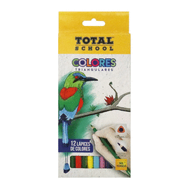 COLORES LARGOS TRIANGULARES C/12 PIEZAS