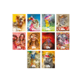 CUADERNO FRANCÉS DOBLE ARILLO CUADRO GRANDE 100 HJS C/U