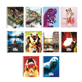 CUADERNO PROFESIONAL DOBLE ARILLO CUADRO GRANDE 200 HJS LIFE IBOOK