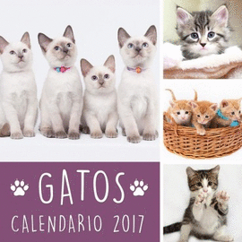 CALENDARIO GATOS 2017