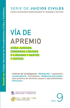 VÍA DE APREMIO N.9. 2025