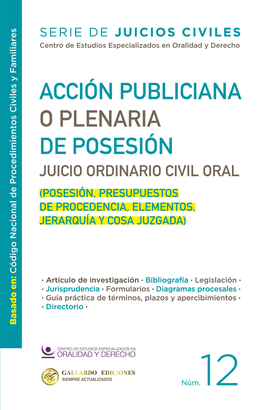 ACCIÓN PUBLICIANA O PLENARIA DE POSESIÓN. N.12. 2026