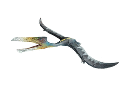 VOLADOR CUELLO LARGO. QUETZALCOATLUS