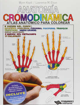 ANATOMIA CROMODINAMICA