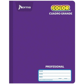 CUADERNO COSIDO DE 100 HOJAS PROFESIONAL DE CUADRO GRANDE NORMA