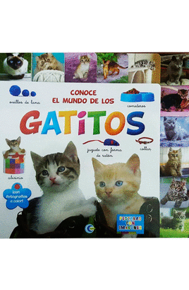 CONOCE EL MUNDO-DE LOS GATITOS