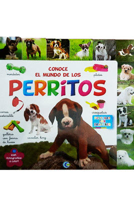 CONOCE EL MUNDO DE LOS PERRITOS