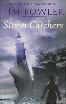 STORM CATCHERS