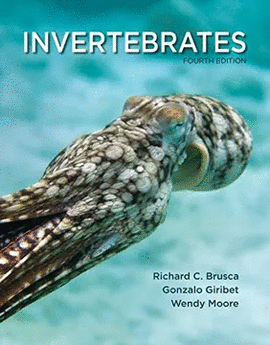 INVERTEBRADOS