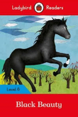 BLACK BEAUTY LEVEL 6