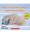 BEBES DE ANIMALES POLARES