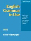 ENGLISH GRAMMAR IN USE THIRD EDITION