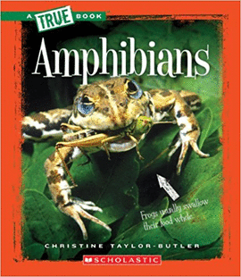 AMPHIBIANS