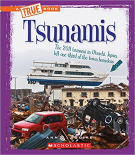 TSUNAMIS TRUE BOOKS