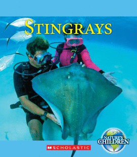 STINGRAYS