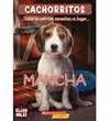 CACHORRITOS MANCHA