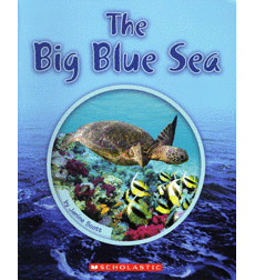 THE BIG BLUE SEA