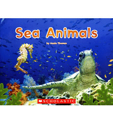 SEA ANIMALS