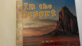 IN THE DESERT
