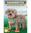 CACHORRITOS  PINTAS