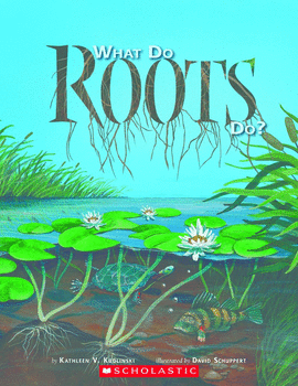 WHAT DO ROOTS DO?