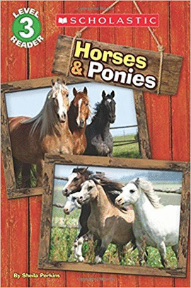 HORSES AND PONIES LEVEL 3