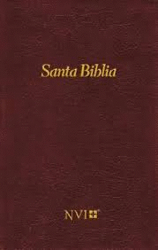 SANTA BIBLIA NVI TD