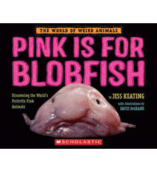 PINK IS FOR BLOBFISH