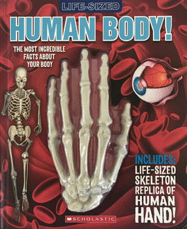 LIFE-SIZED: HUMAN BODY!