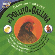 CAMBIAR Y CRECER DE POLLITO A GALLINA