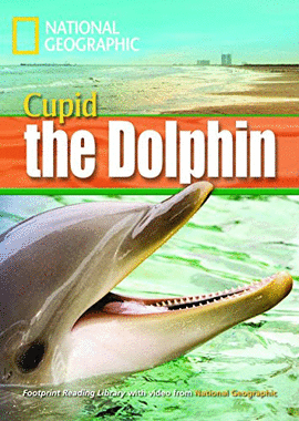 CUPID THE DOLPHIN 1600(BRE)