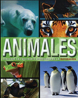SOL 90 ANIMALES