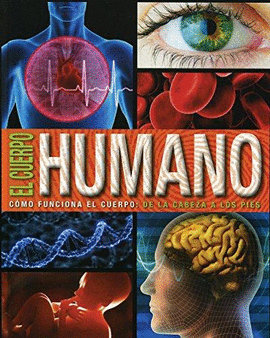 SOL 90 CUERPO HUMANO