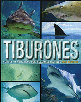 SOL 90 TIBURONES