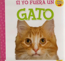 SI YO FUERA UN GATO