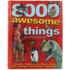 8000 AWESOME THINGS