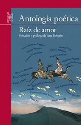 RAIZ DEL AMOR