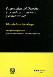 PANORAMICA DEL DERECHO PROCESA CONSTITUCIONAL Y CONVENCIONA