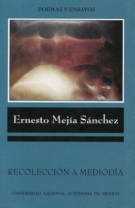 RECOLECCION A MEDIODIA POEMAS Y ENSAYOS