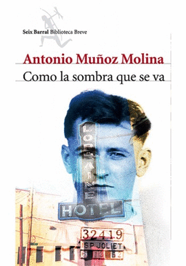 COMO LA SOMBRA QUE SE VA